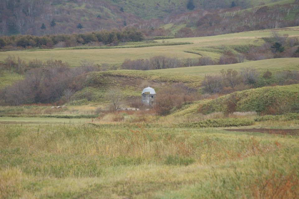 c0162516_16161122.jpg