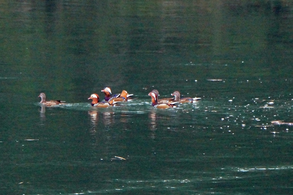 c0042418_07572991.jpg