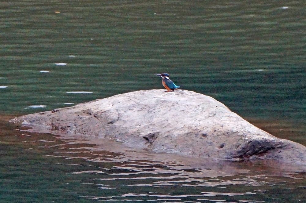 c0042418_07574016.jpg