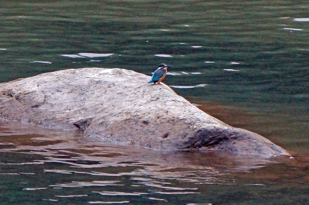 c0042418_07574990.jpg