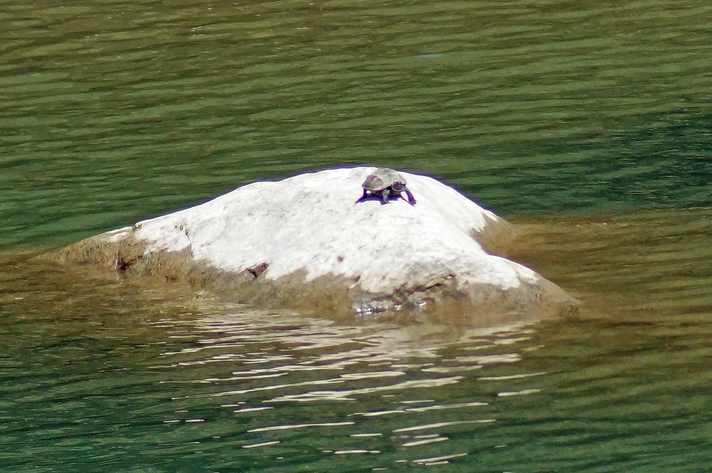 c0042418_07575746.jpg