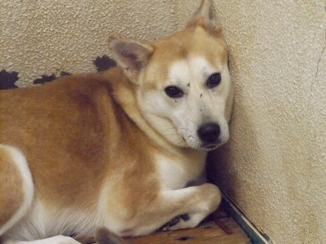 f0078320_01024298.jpg