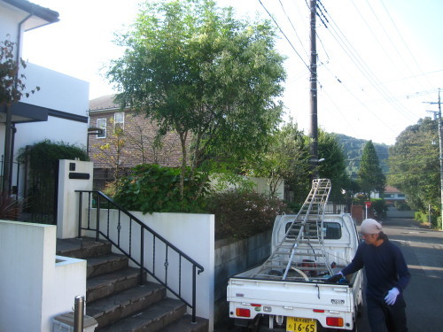 e0350927_10530376.jpg