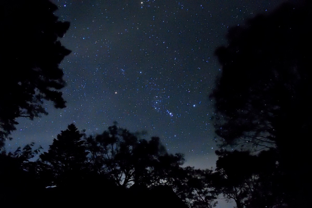 b0096536_21465292.jpg
