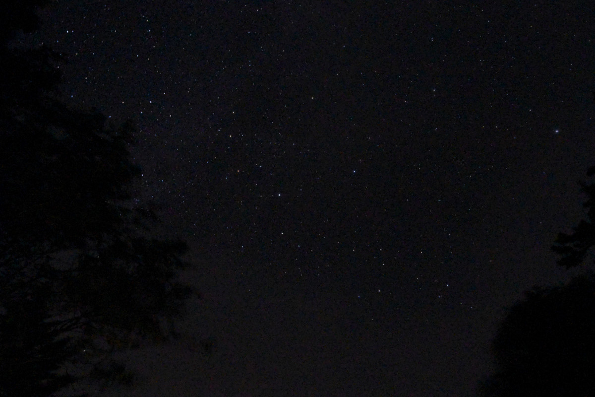 b0096536_21465658.jpg