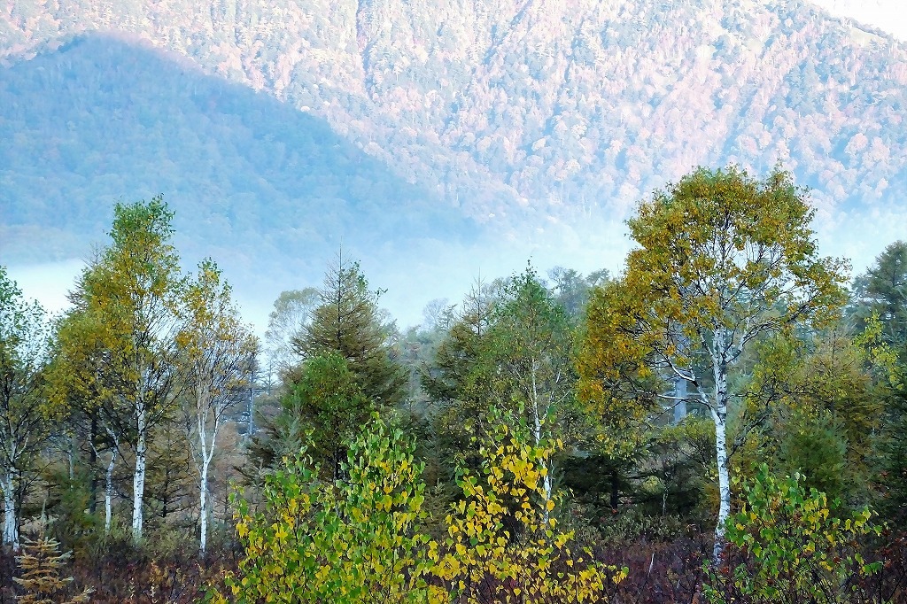 b0236251_14072411.jpg