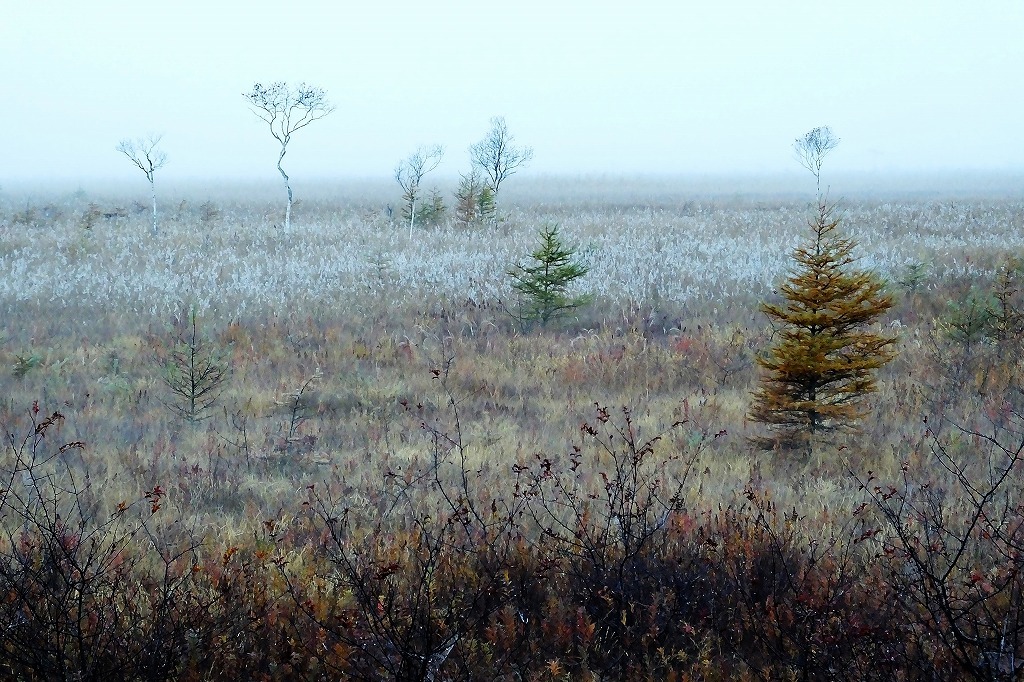b0236251_14110729.jpg