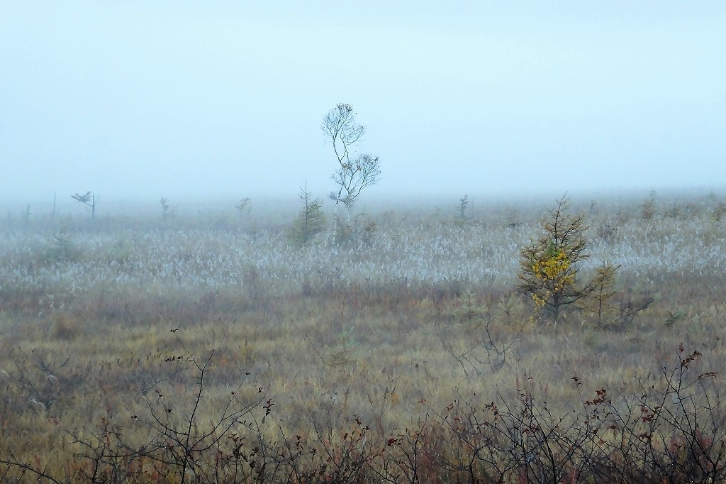 b0236251_14111216.jpg