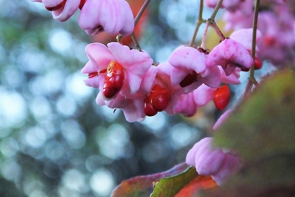b0236251_14152214.jpg