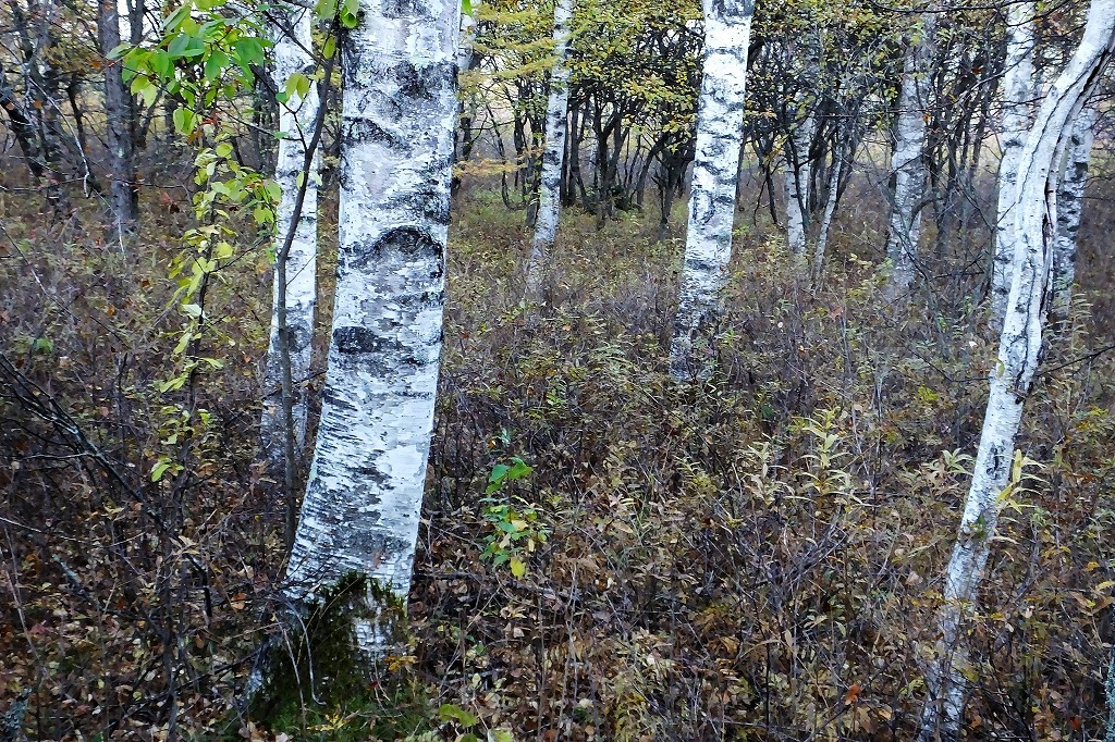 b0236251_14152922.jpg