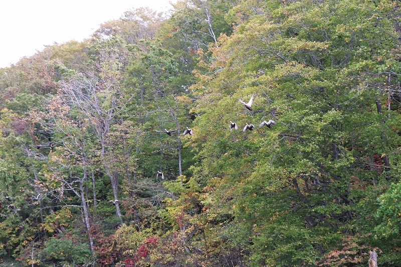 b0250154_06331369.jpg