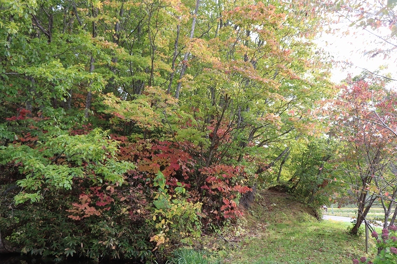 b0250154_20032800.jpg