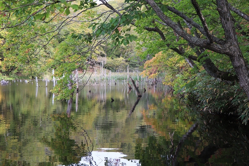 b0250154_20113236.jpg