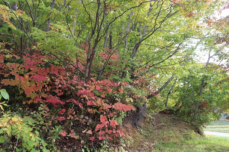 b0250154_20144815.jpg
