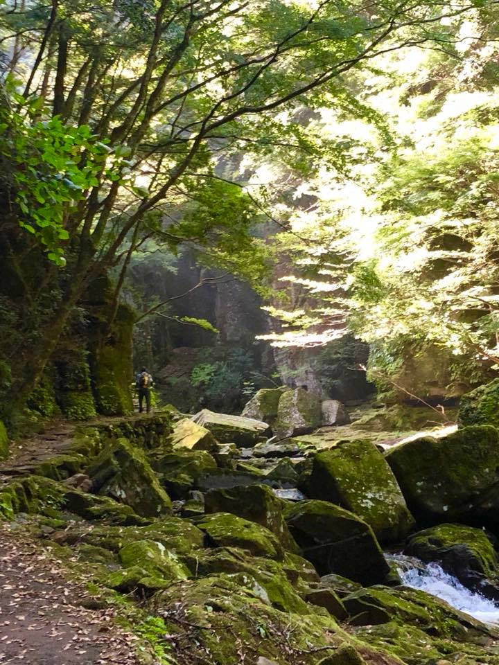 c0123363_15102245.jpg