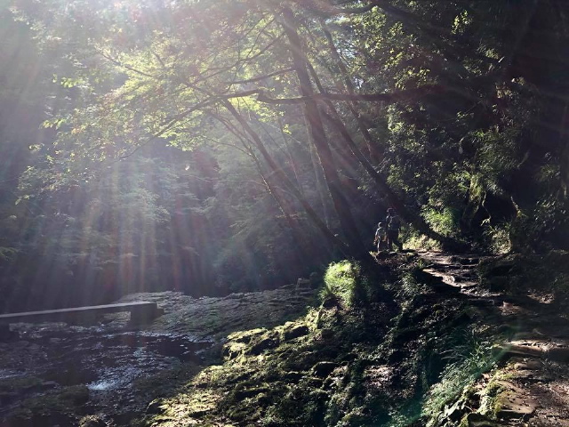 c0123363_1593053.jpg