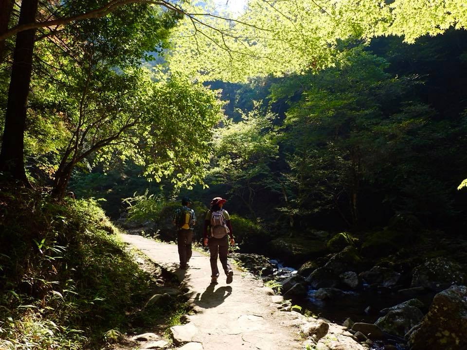 c0123363_1595239.jpg