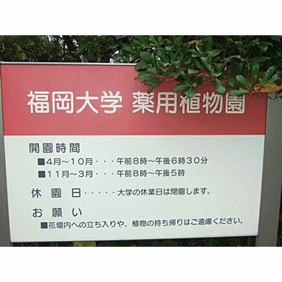 e0086885_15272997.gif