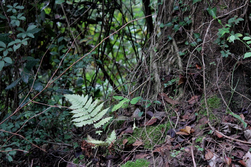 f0325295_12070964.jpg