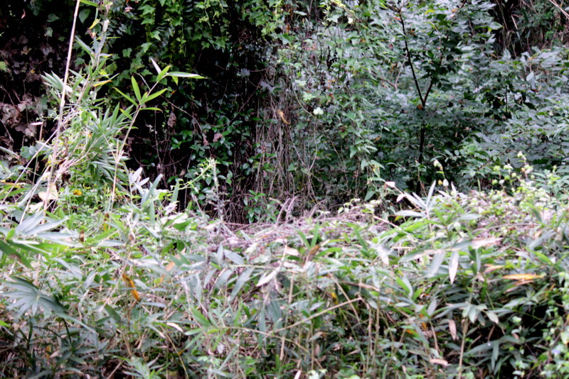 f0325295_13234285.jpg