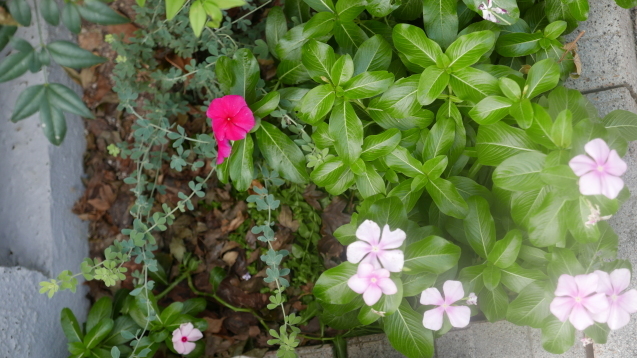 f0250403_22362197.jpg