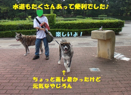 f0121712_13014949.jpg