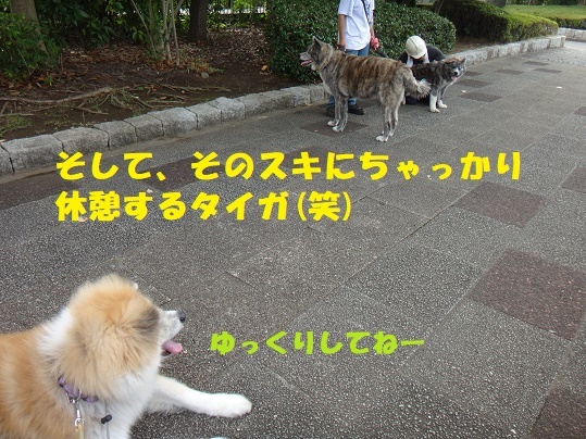 f0121712_13514901.jpg