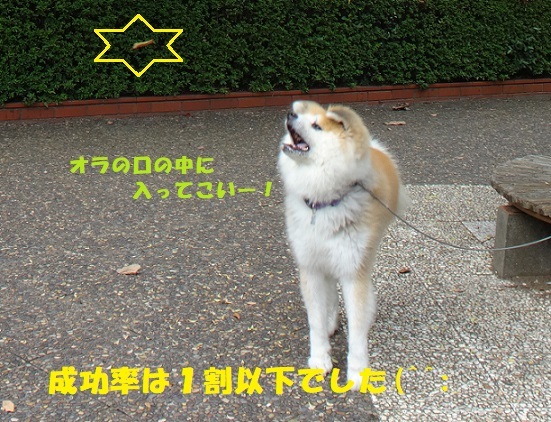f0121712_14123938.jpg
