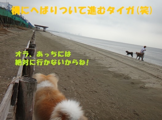 f0121712_14380734.jpg