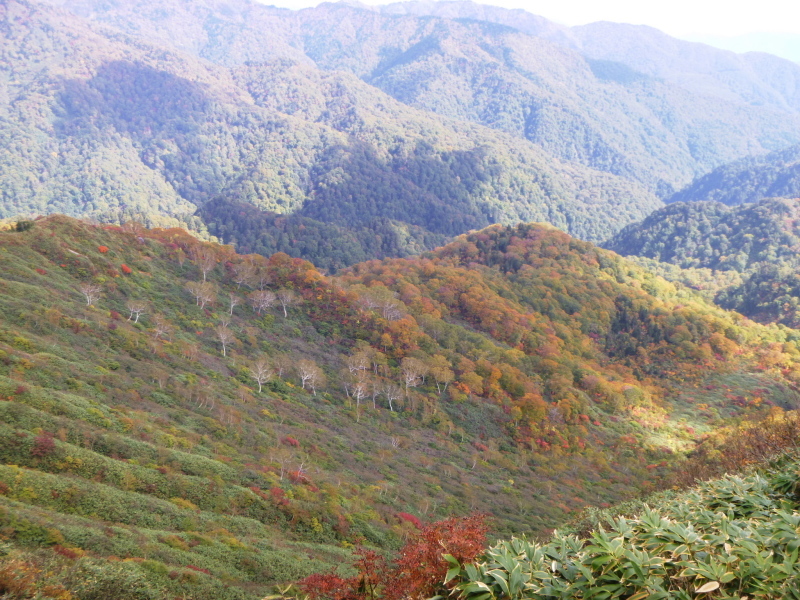d0170615_09341614.jpg