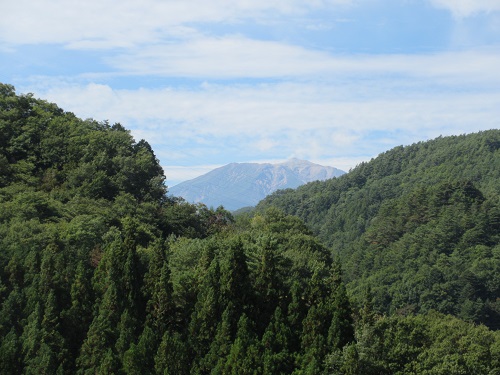 f0073718_1749424.jpg