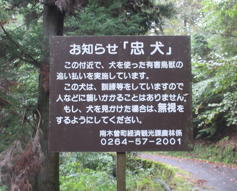 f0073718_17581266.jpg