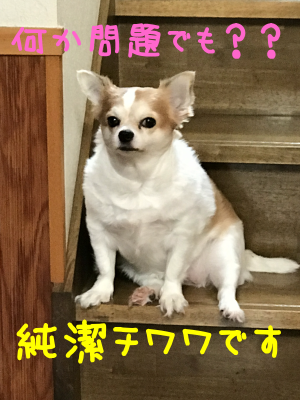b0293631_14155439.png