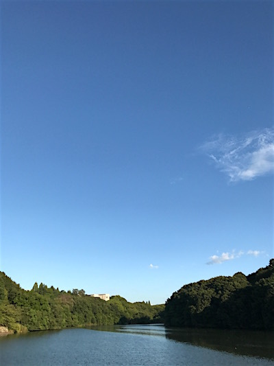 d0370734_23520127.jpg