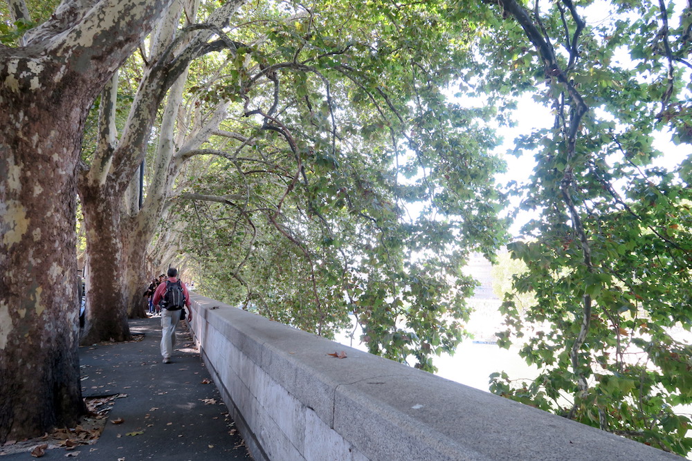f0234936_705826.jpg