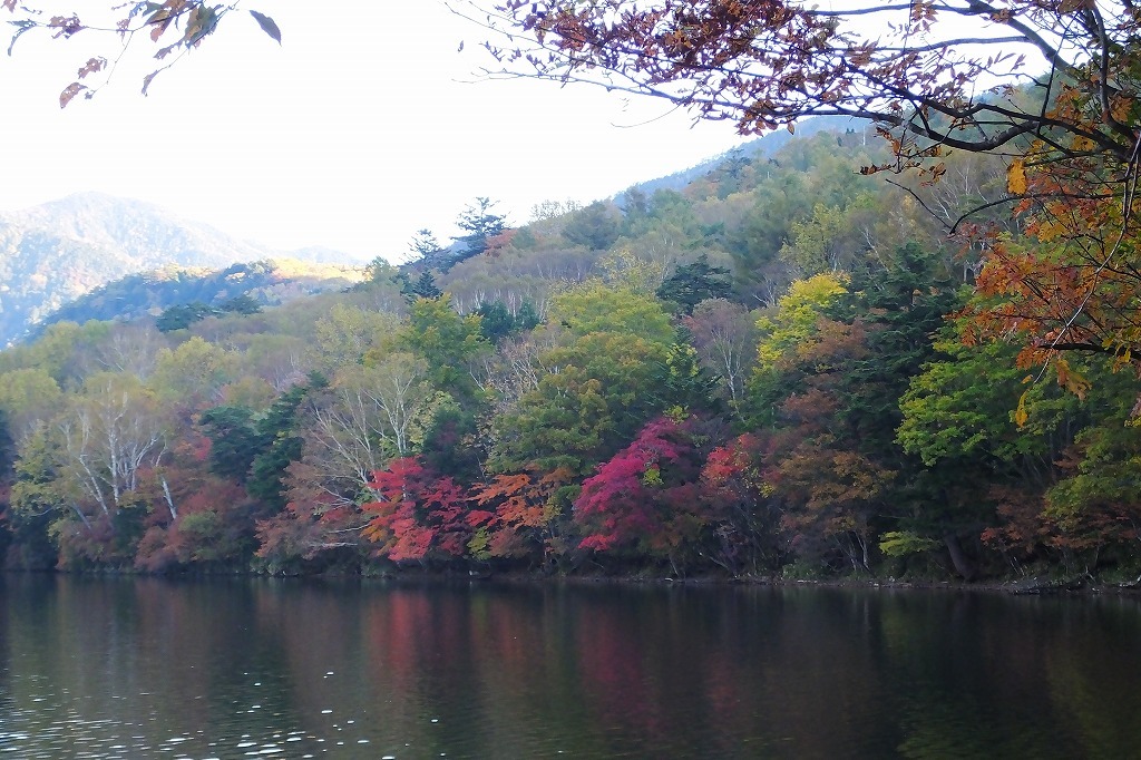 b0236251_13413278.jpg
