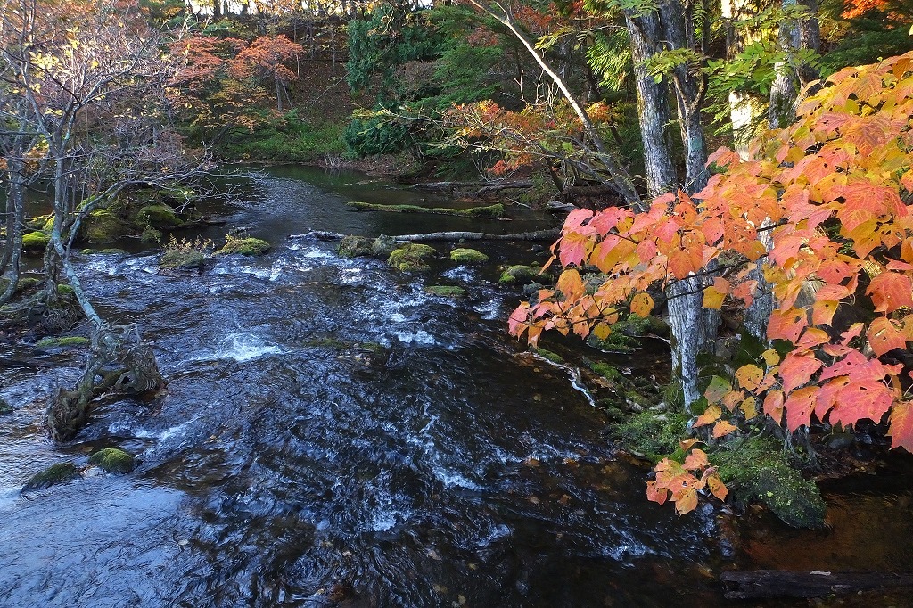 b0236251_13414220.jpg