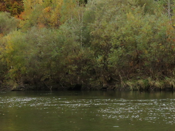b0366555_15534895.jpg