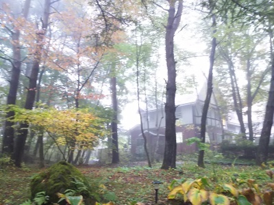 f0364455_21562054.jpg