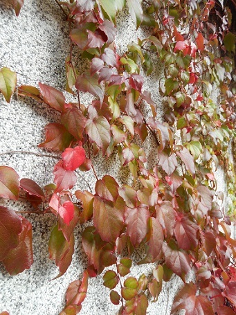 c0221565_13005332.jpg