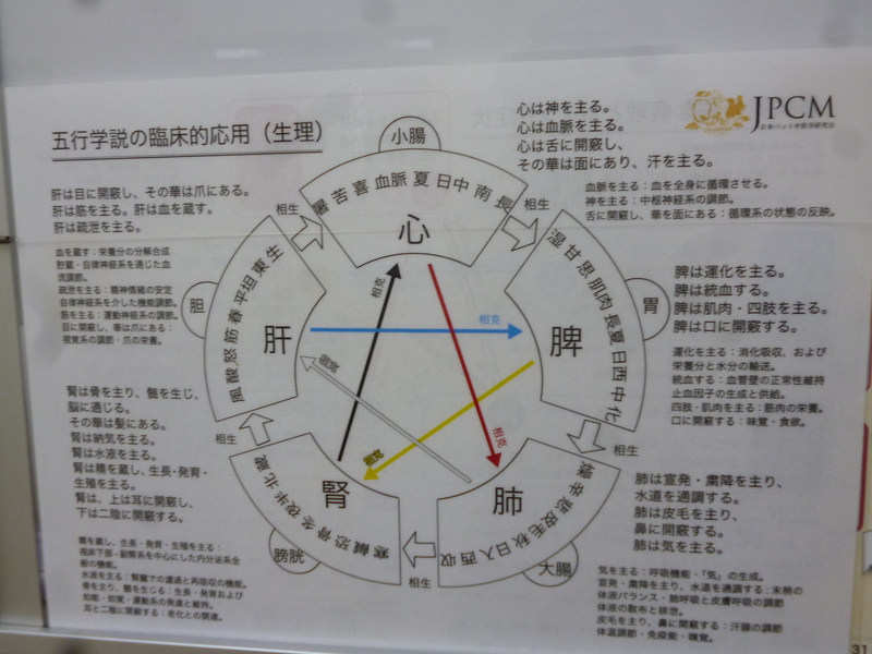 a0079269_5361348.jpg