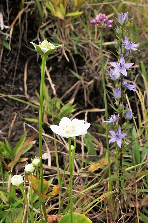 c0248473_17123051.jpg