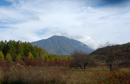 d0129295_12142412.jpg