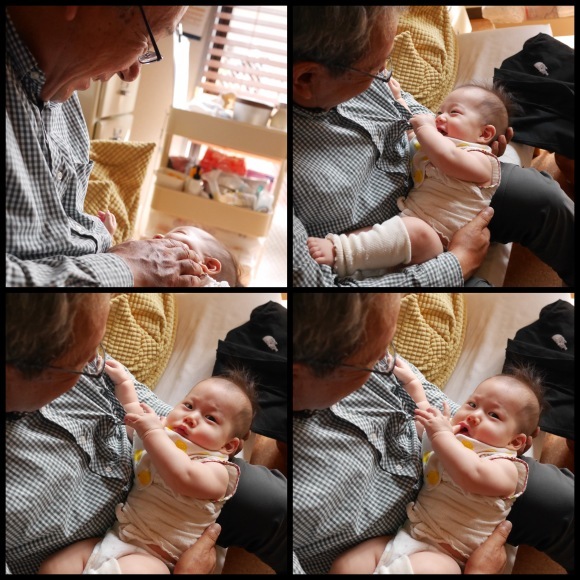 d0195998_12063741.jpeg