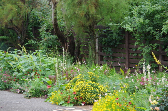 b0356401_20123750.jpg
