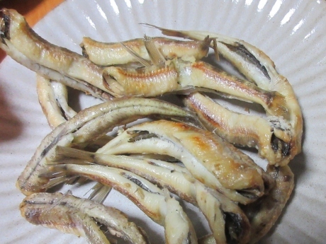 a0203003_22023501.jpg