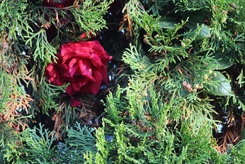 f0325309_17195181.jpg