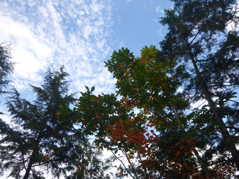 d0170615_08452685.jpg