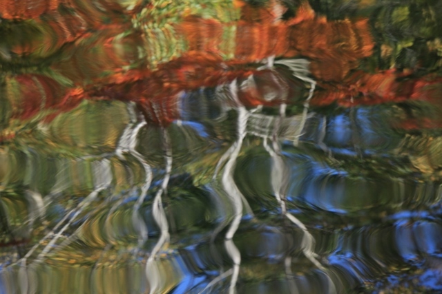 e0242721_07292199.jpg