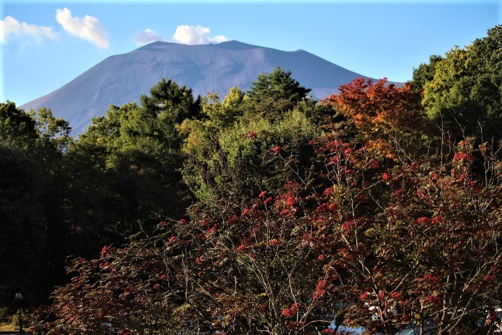 f0354923_00173890.jpg